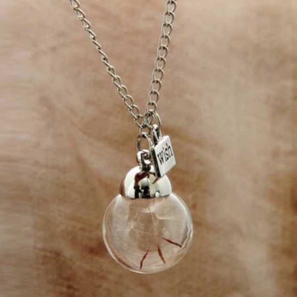 wish bottle necklace , keep your beautiful dream with you - Picture 3 of 7